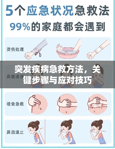 突发疾病急救方法,关键步骤与应对技巧