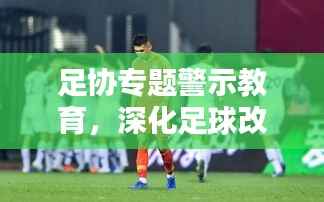 足协专题警示教育,深化足球改革的关键一环