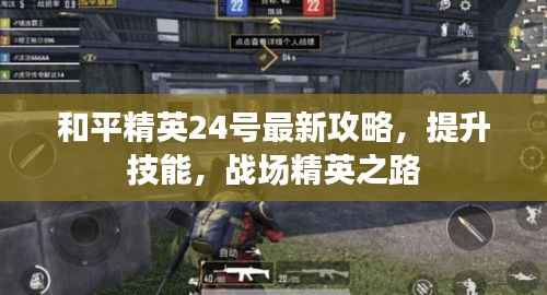 和平精英24号最新攻略,提升技能,战场精英之路