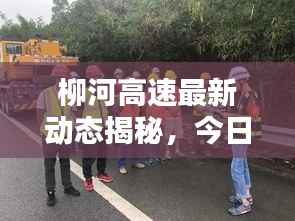 柳河高速最新动态揭秘,今日要闻一网打尽!