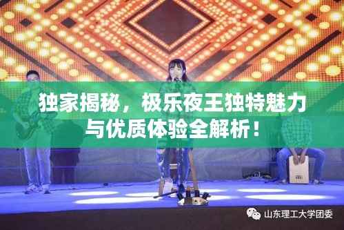 独家揭秘,极乐夜王独特魅力与优质体验全解析!