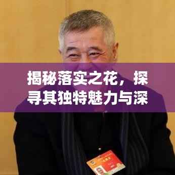 揭秘落实之花,探寻其独特魅力与深层含义