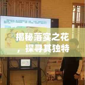 揭秘落实之花,探寻其独特魅力与深层含义