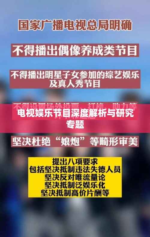 电视娱乐节目深度解析与研究专题
