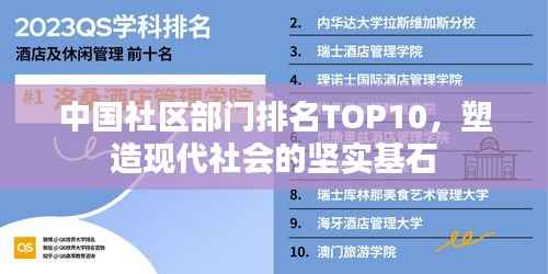 中国社区部门排名TOP10,塑造现代社会的坚实基石