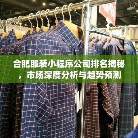 合肥服装小程序公司排名揭秘，市场深度分析与趋势预测