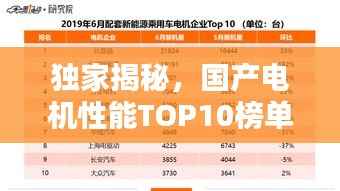 独家揭秘,国产电机性能TOP10榜单,排名大解析!