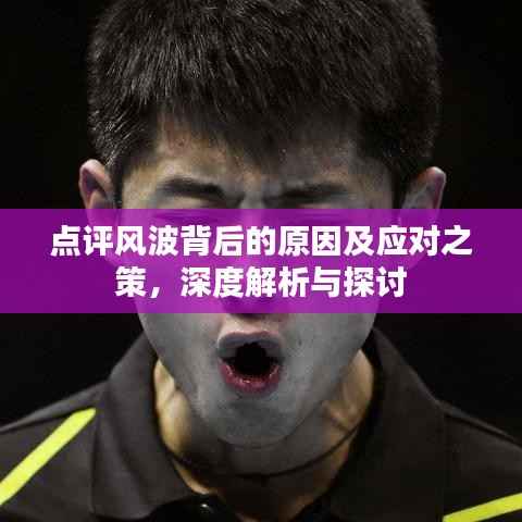 点评风波背后的原因及应对之策,深度解析与探讨