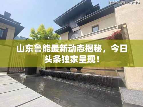 山东鲁能最新动态揭秘，今日头条独家呈现！
