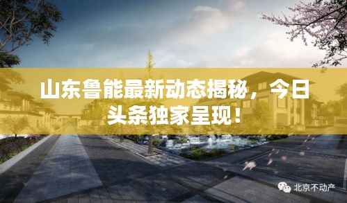 山东鲁能最新动态揭秘,今日头条独家呈现!