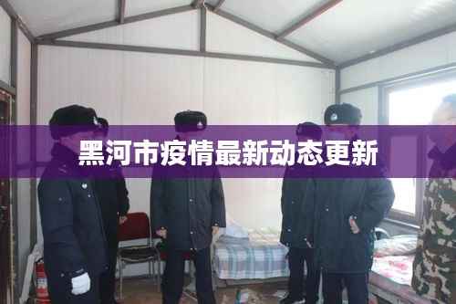 黑河市疫情最新动态更新