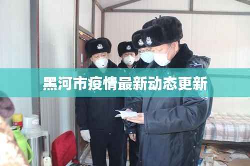 黑河市疫情最新动态更新