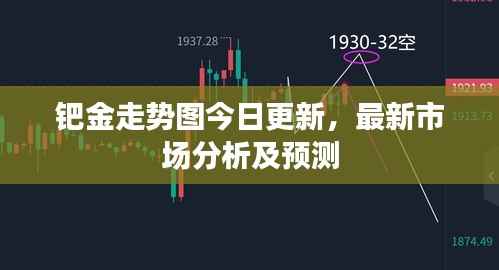 钯金走势图今日更新,最新市场分析及预测