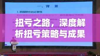 扭亏之路,深度解析扭亏策略与成果专题汇报