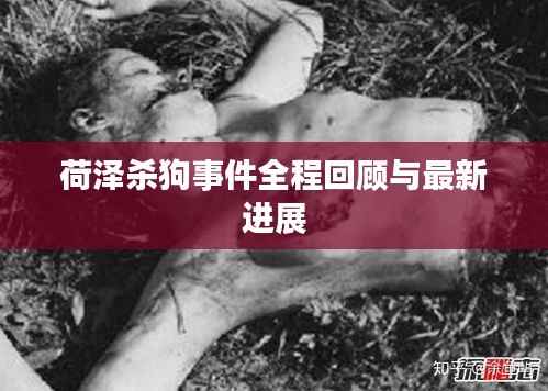 荷泽杀狗事件全程回顾与最新进展