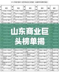 山东商业巨头榜单揭晓,探索山东省百强公司力量的崛起