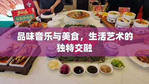 品味音乐与美食,生活艺术的独特交融