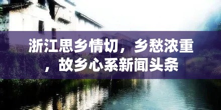 浙江思乡情切,乡愁浓重,故乡心系新闻头条