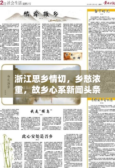浙江思乡情切,乡愁浓重,故乡心系新闻头条