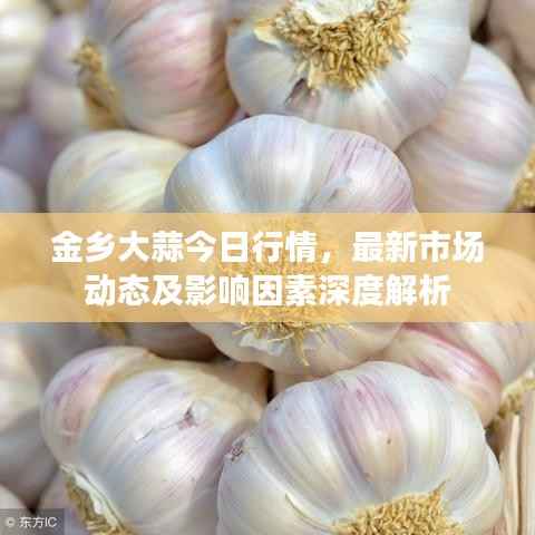 金乡大蒜今日行情，最新市场动态及影响因素深度解析
