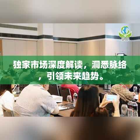 独家市场深度解读,洞悉脉络,引领未来趋势。
