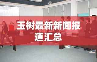 玉树最新新闻报道汇总