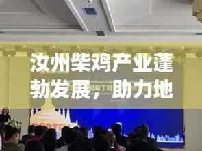 汝州柴鸡产业蓬勃发展,助力地方经济腾飞——新闻热点