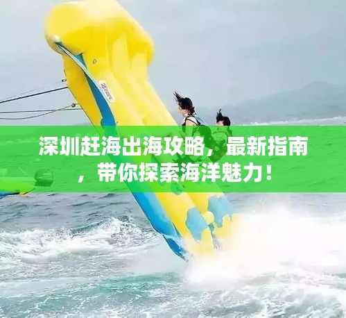 深圳赶海出海攻略,最新指南,带你探索海洋魅力!