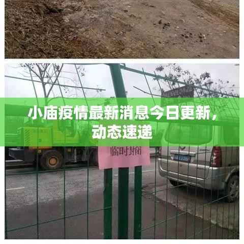 小庙疫情最新消息今日更新,动态速递