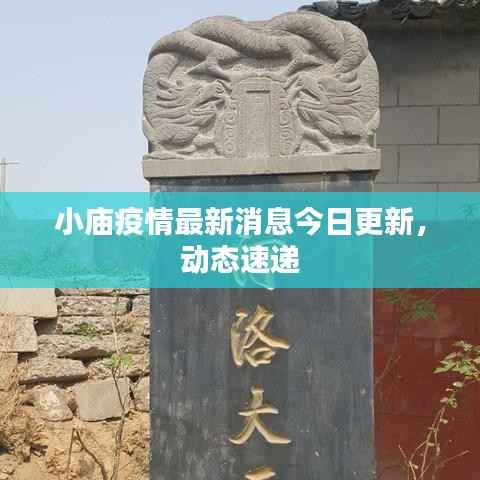 小庙疫情最新消息今日更新,动态速递