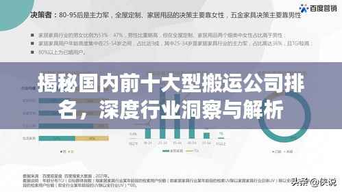 揭秘国内前十大型搬运公司排名,深度行业洞察与解析