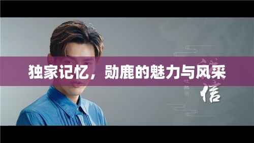 独家记忆,勋鹿的魅力与风采