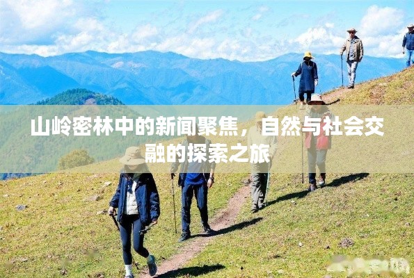 山岭密林中的新闻聚焦,自然与社会交融的探索之旅