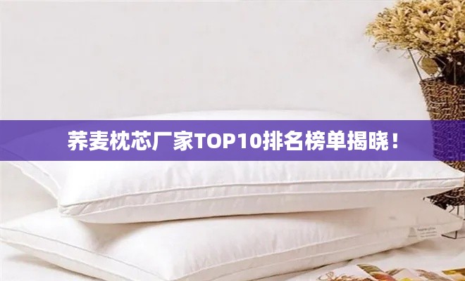 荞麦枕芯厂家TOP10排名榜单揭晓!