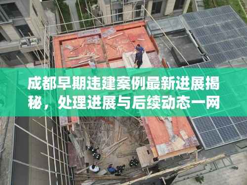 成都早期违建案例最新进展揭秘，处理进展与后续动态一网打尽！