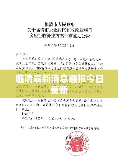 临清最新消息通报今日更新