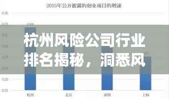 杭州风险公司行业排名揭秘,洞悉风云变幻的行业内幕