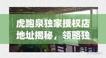 虎跑泉独家授权店地址揭秘,领略独特泉水文化的魅力之旅