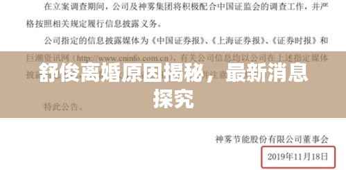 舒俊离婚原因揭秘，最新消息探究