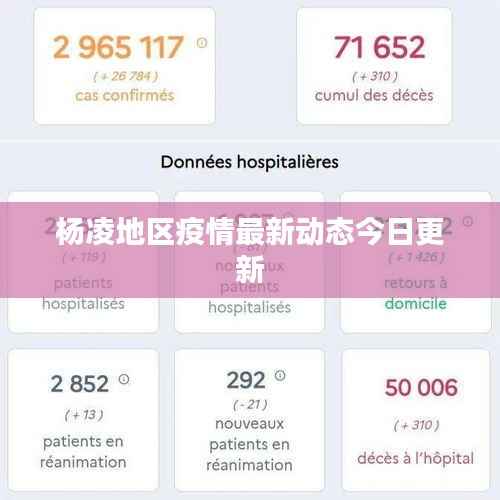 杨凌地区疫情最新动态今日更新