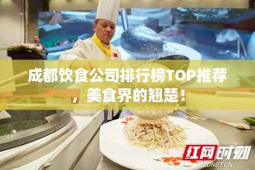 成都饮食公司排行榜TOP推荐,美食界的翘楚!