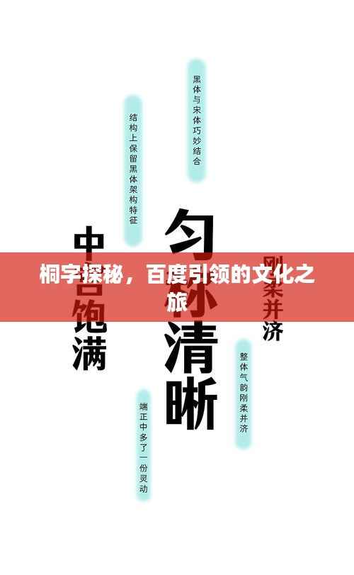桐字探秘，百度引领的文化之旅