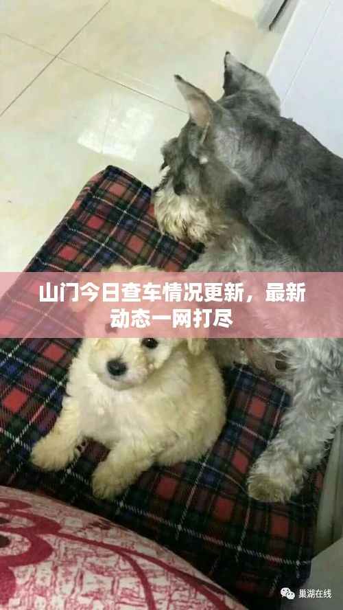 山门今日查车情况更新,最新动态一网打尽