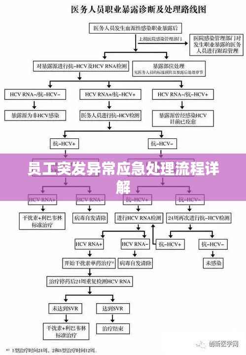 员工突发异常应急处理流程详解