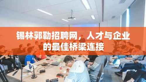 锡林郭勒招聘网,人才与企业的最佳桥梁连接