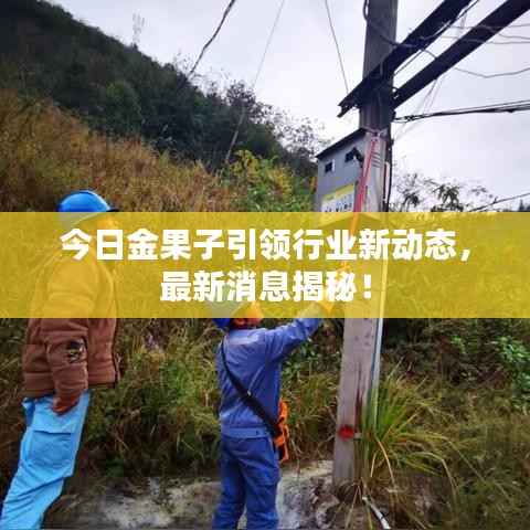 今日金果子引领行业新动态,最新消息揭秘!