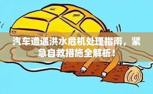 汽车遭遇洪水危机处理指南,紧急自救措施全解析!