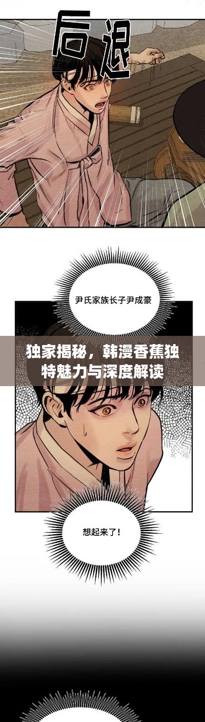 独家揭秘,韩漫香蕉独特魅力与深度解读