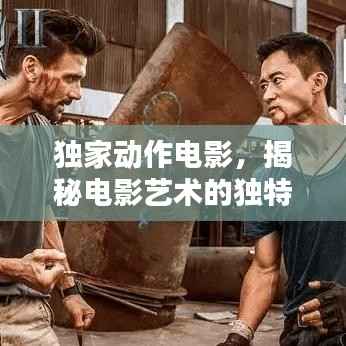 独家动作电影,揭秘电影艺术的独特魅力