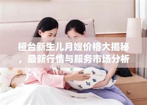桓台新生儿月嫂价格大揭秘,最新行情与服务市场分析